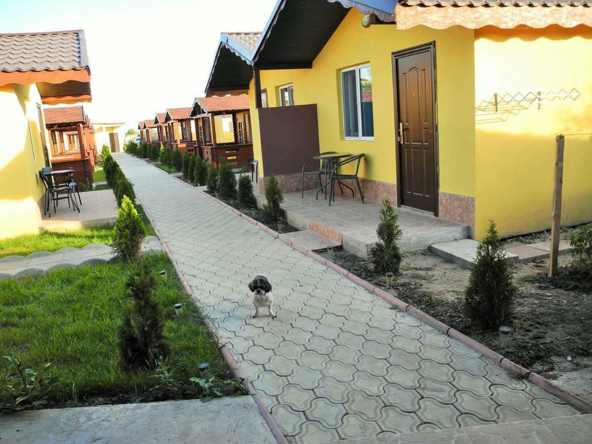 Hotel Cazare Balliu Corbu  Exterior foto